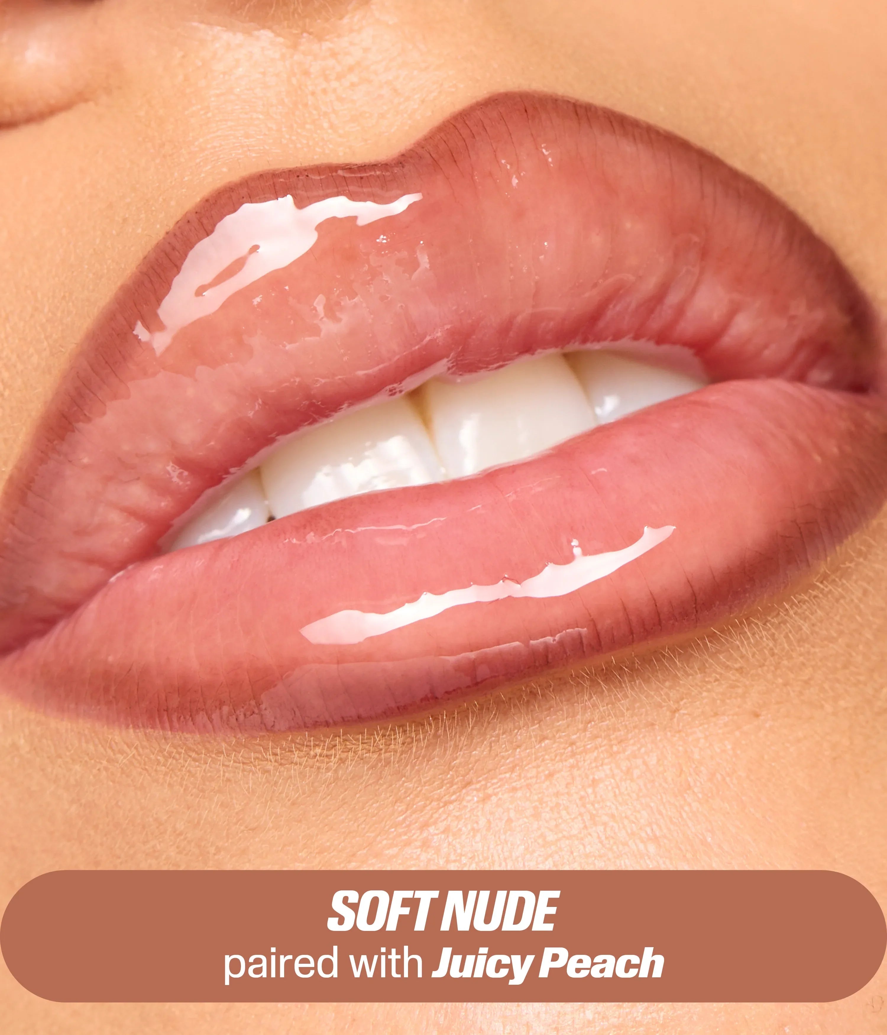 Lip Stain and Oil Kit Makeup Premium