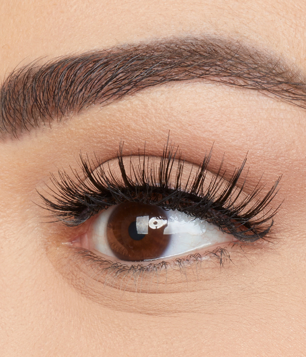 Faux Mink Lash Jade 13 Premium Premium